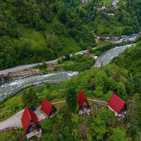 Bungalove Tatil Koeyue Çamlıhemşin 외부 사진