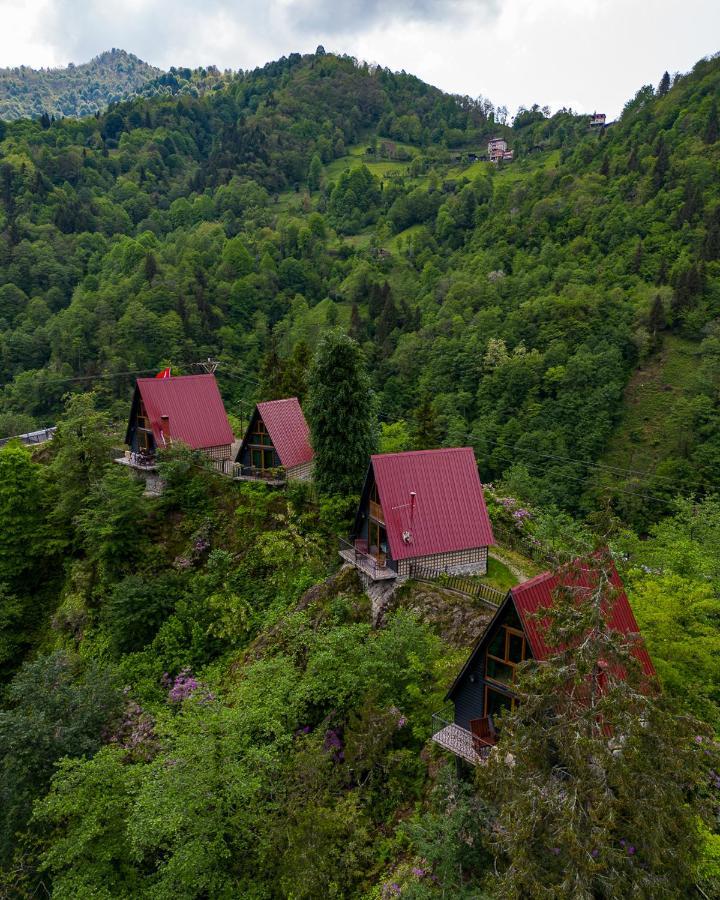 Bungalove Tatil Koeyue Çamlıhemşin 외부 사진