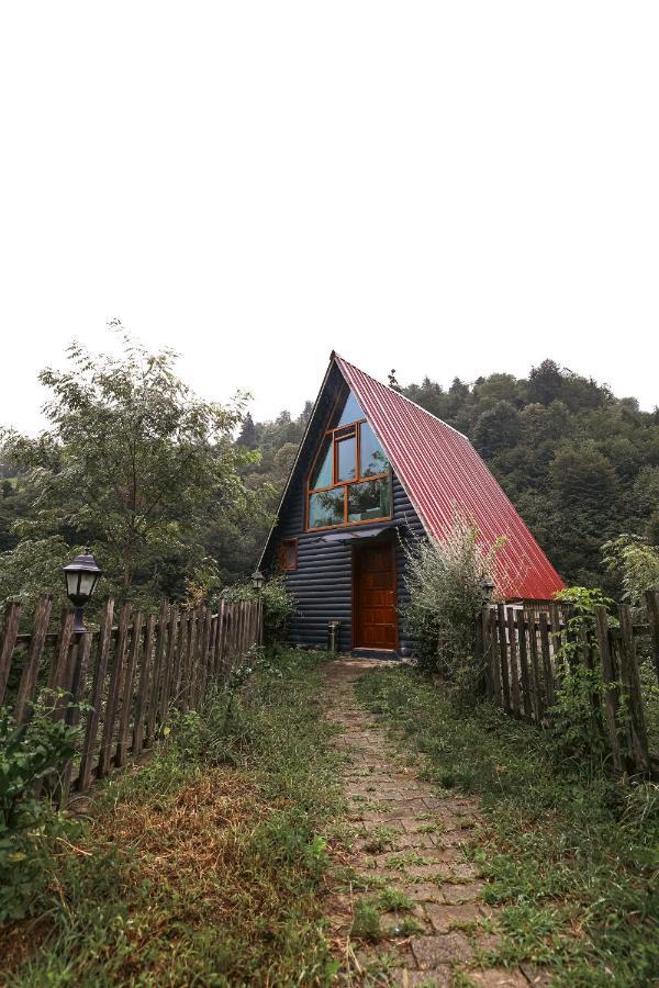 Bungalove Tatil Koeyue Çamlıhemşin 외부 사진