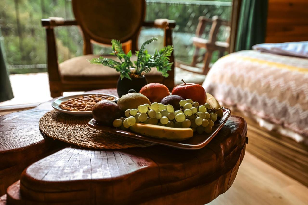 Bungalove Tatil Koeyue Çamlıhemşin 외부 사진