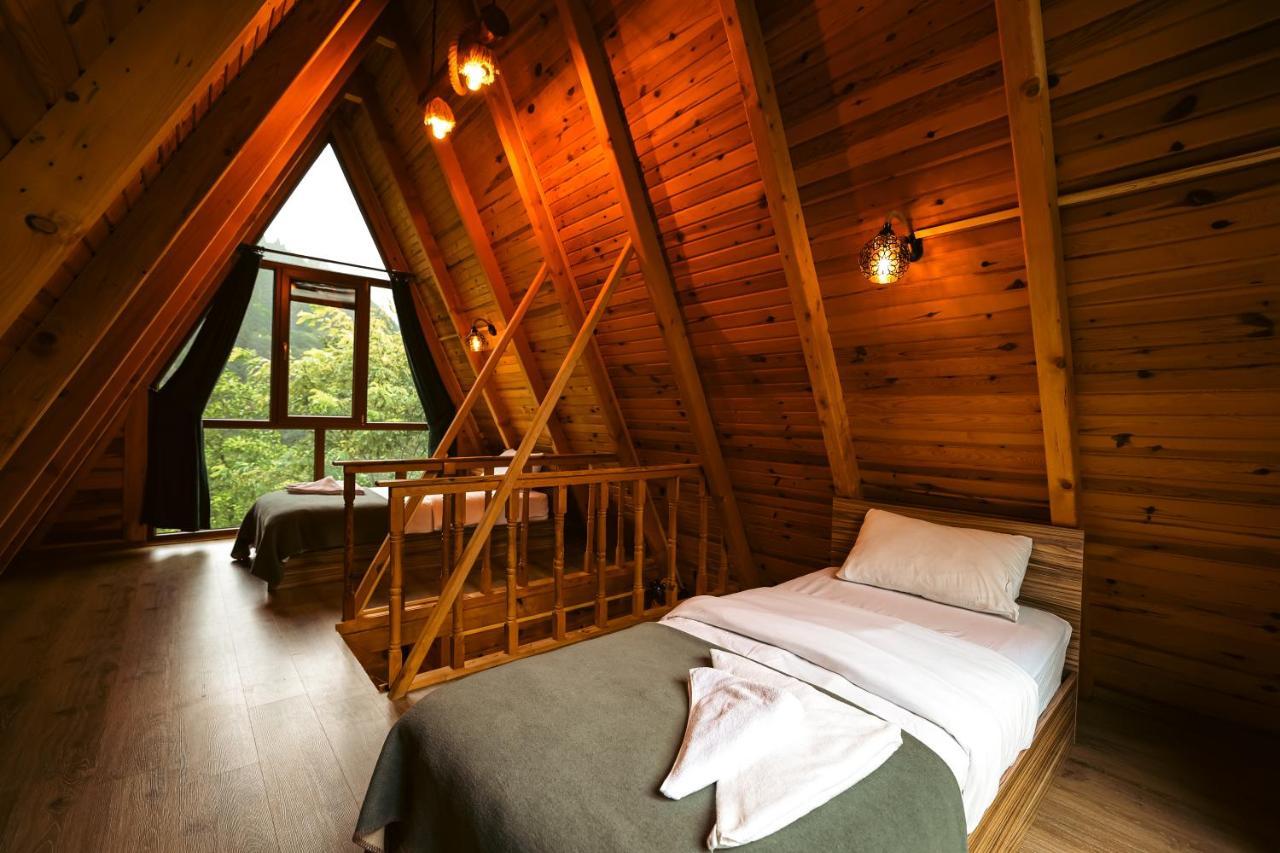 Bungalove Tatil Koeyue Çamlıhemşin 외부 사진