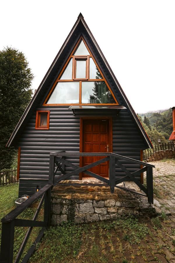 Bungalove Tatil Koeyue Çamlıhemşin 외부 사진
